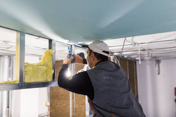 Best Types of Insulation in Walcott, IA