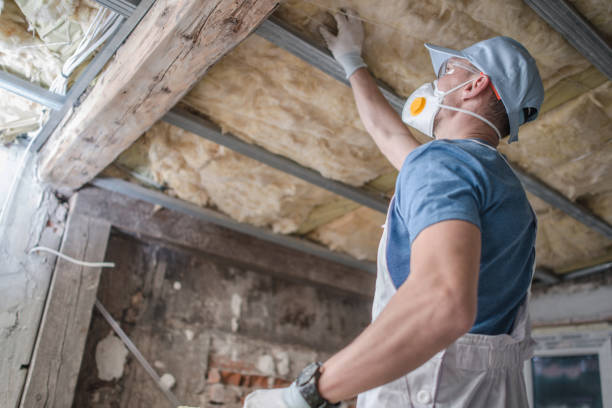 Best Insulation for Specific Applications in Walcott, IA